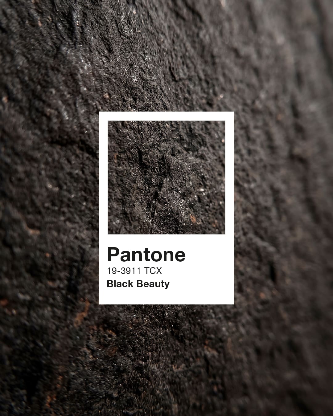 Uma amostra Pantone 19-3911 TCX Black Beauty sobre uma superfície de pedra escura.